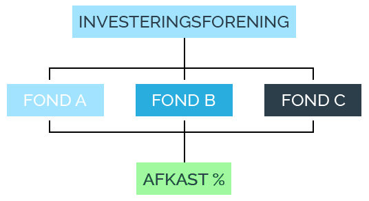 Hvad er en investeringsforening?