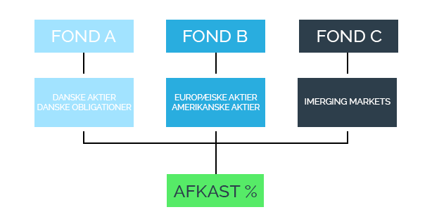 Hvad er en investeringsfond?